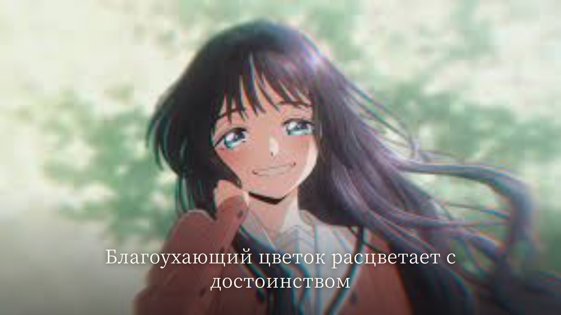 Благоухающий цветок расцветает с достоинством